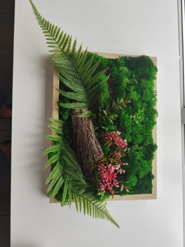 Obraz z mchu - widok na całość