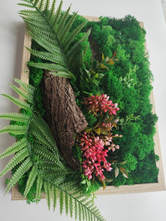 Obraz z mchu - zbliżenie